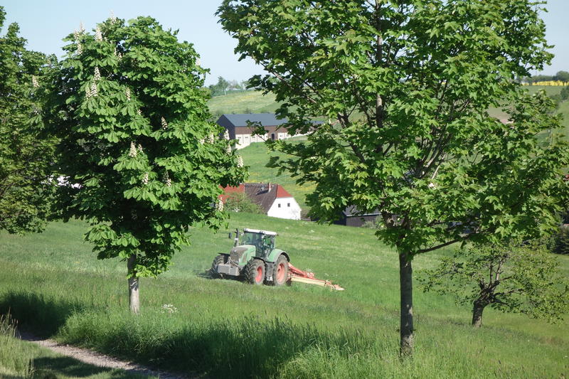 DSC08160.jpg