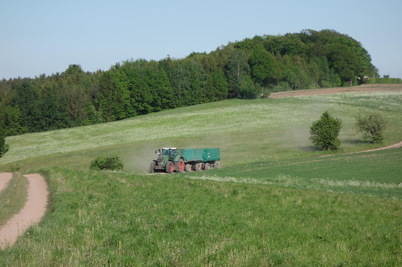 DSC08207.jpg