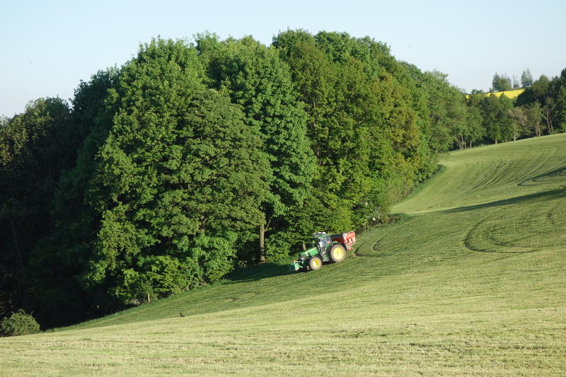 DSC08213.jpg