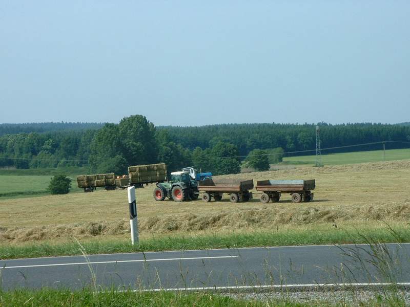 bilder/20_8_2007_2/IMGP1240.jpg