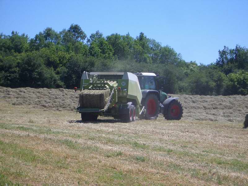 bilder/18_6_2005/fendt_716_2.jpg
