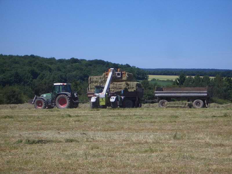 fendt_716_targo.jpg