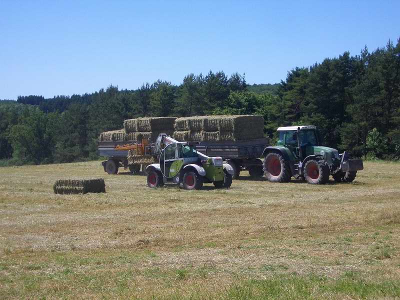 fendt_716_targo_2.jpg