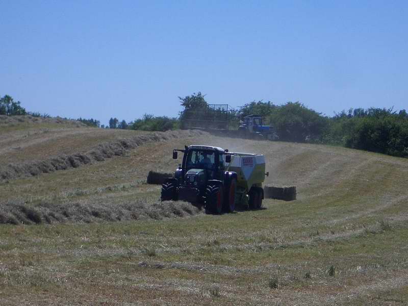 bilder/18_6_2005/fendt_716_zt_303.jpg