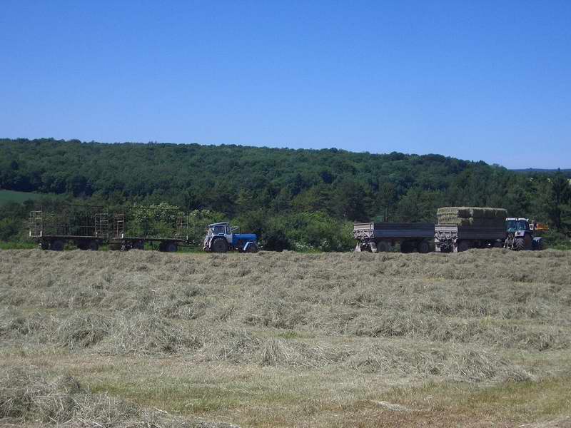 fendt_716_zt_303_targo.jpg