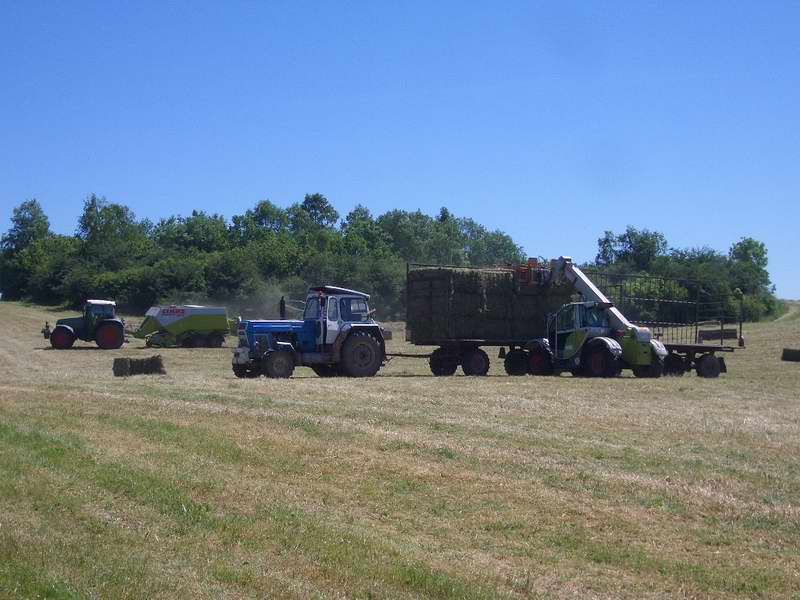 fendt_716_zt_303_targo_2.jpg