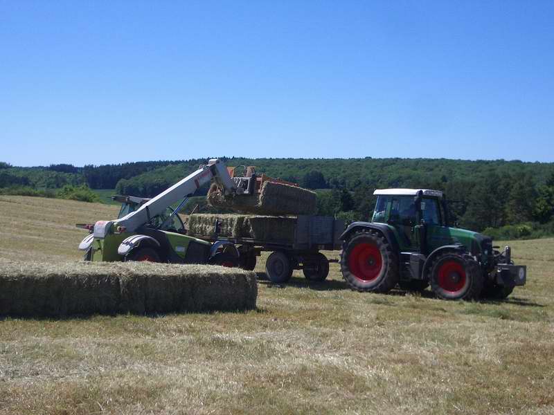 fendt_818_targo.jpg