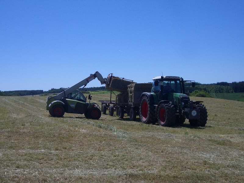 bilder/18_6_2005/fendt_818_targo_2.jpg