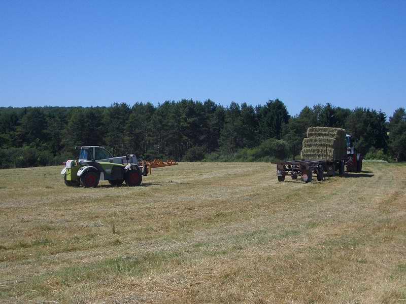 bilder/18_6_2005/fendt_818_targo_3.jpg