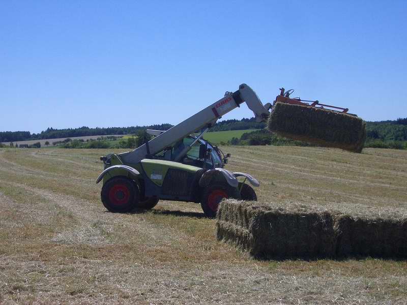 bilder/18_6_2005/targo.jpg