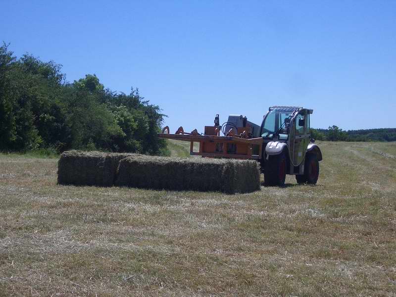 bilder/18_6_2005/targo_2.jpg