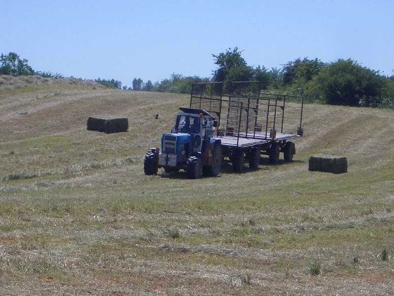 bilder/27_3_2012_2/CIMG8055.jpg