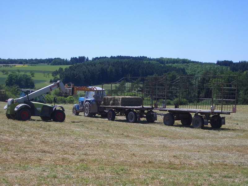 zt_303_targo.jpg