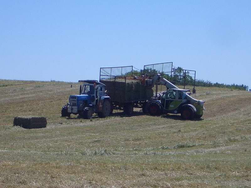 zt_303_targo_2.jpg
