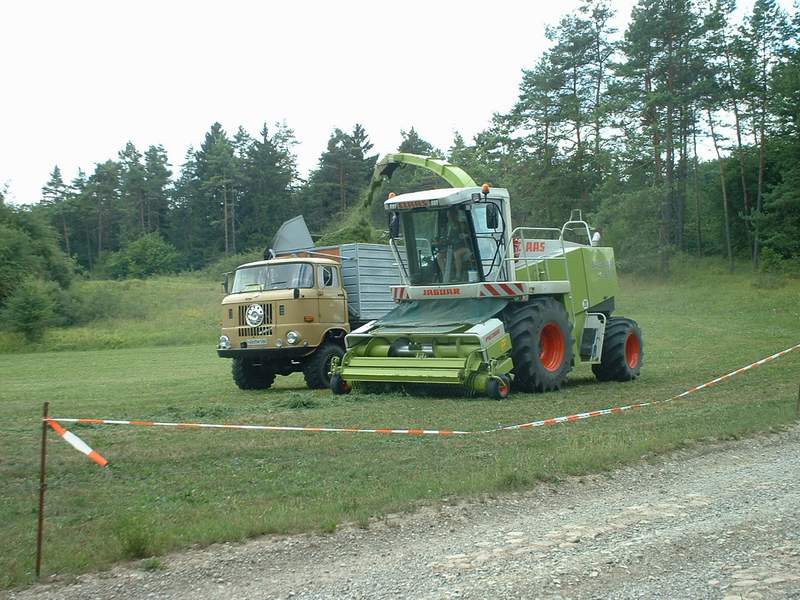 bilder/18_7_2003/jaguar_+_w50_8.jpg