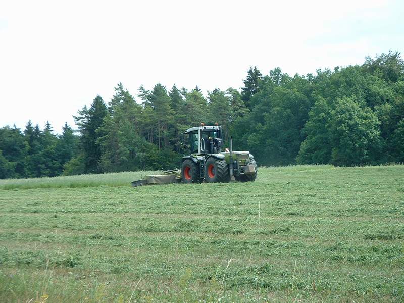 xerion_7.jpg