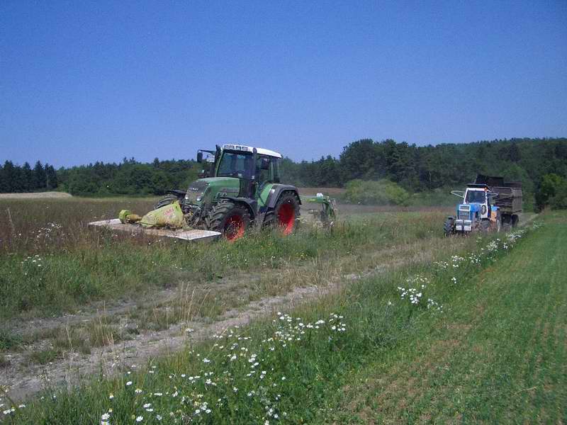 fendt_818_zt_303.jpg