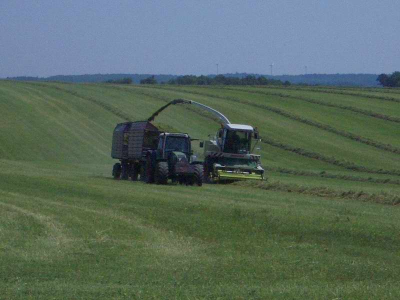 jaguar_fendt_716_2.jpg