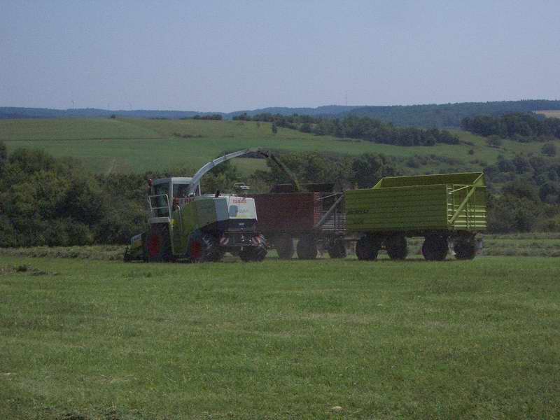 jaguar_fendt_824_3.jpg