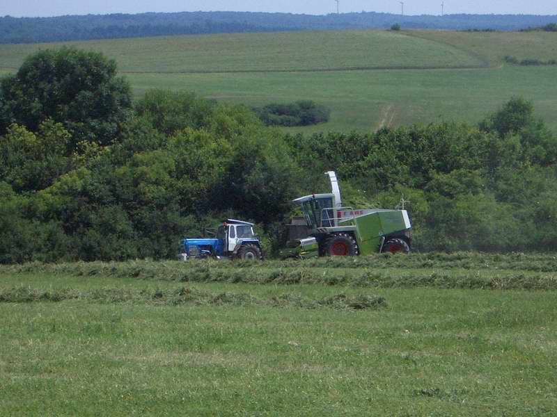 bilder/20_8_2003_2/jaguar_fendt_12.jpg