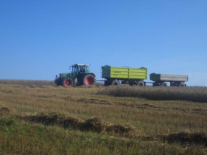 bilder/18_8_2005/fendt.jpg