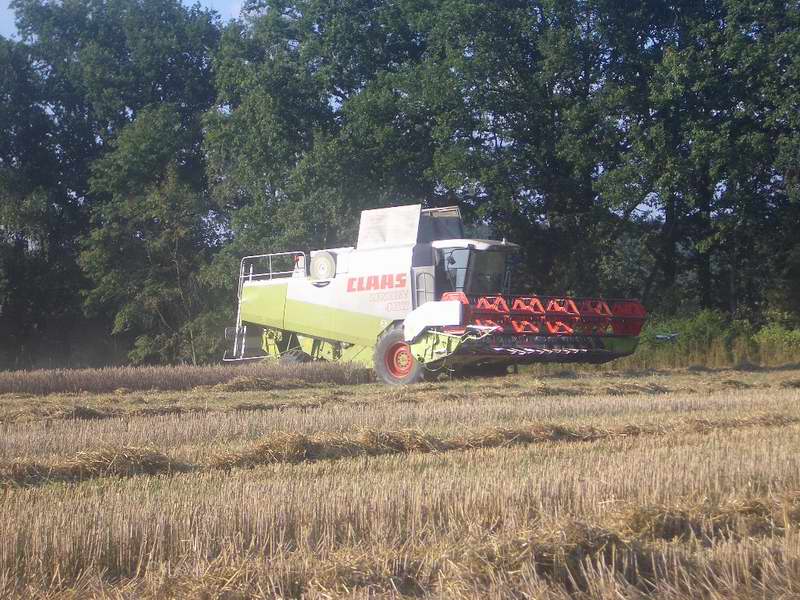 lexion_5.jpg