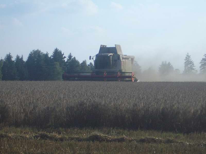 lexion_6.jpg
