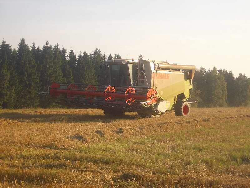 lexion_8.jpg