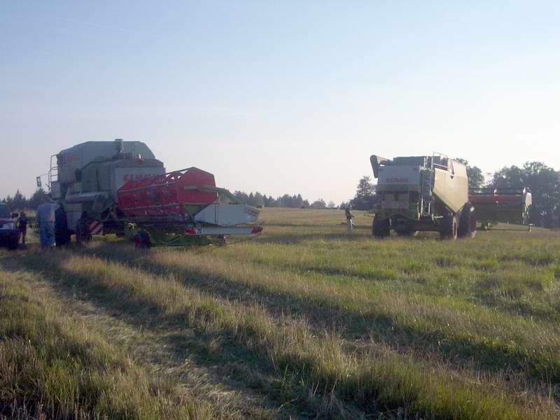 lexion_mega.jpg
