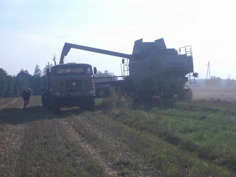bilder/18_8_2005/lexion_w50_2.jpg