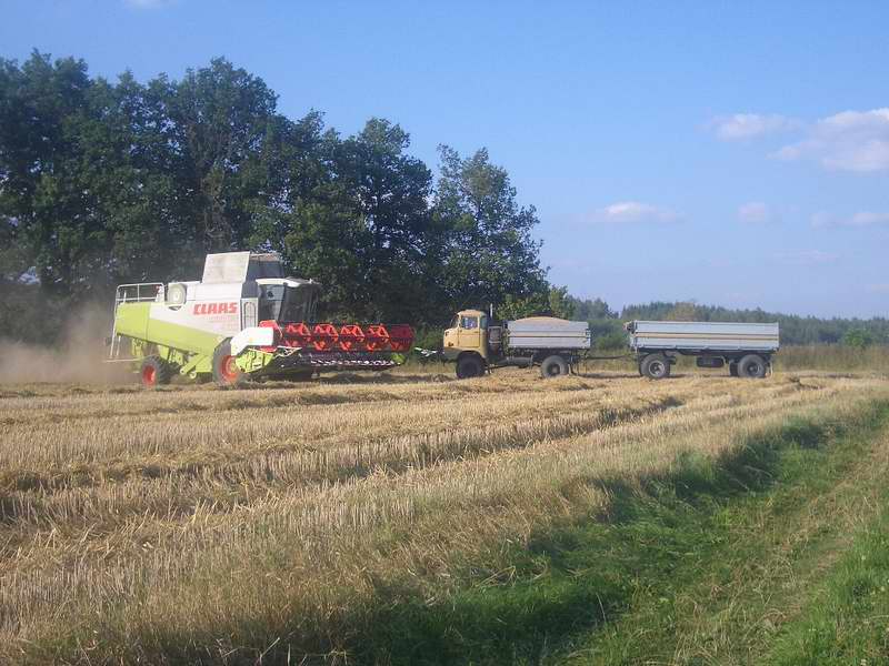lexion_w50_3.jpg