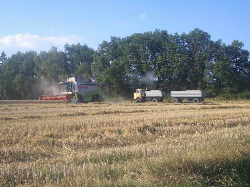 lexion_w50_4.jpg