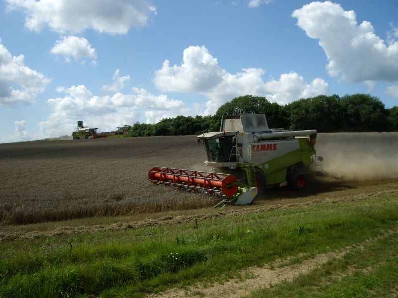 bilder/16_5_2002/jaguar_900_+_jaguar_880_+_fendt_824_+_zt_303_2.jpg