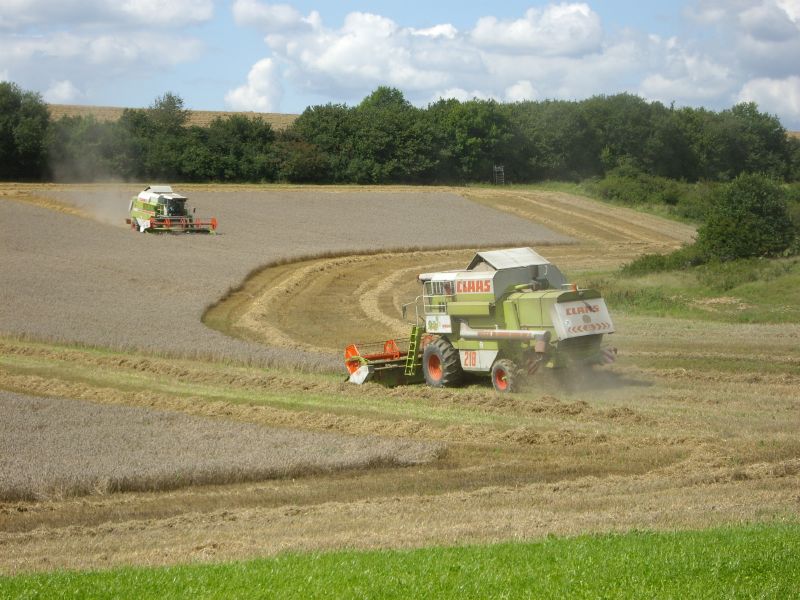 bilder/26_7_2005/fendt_716_10.jpg