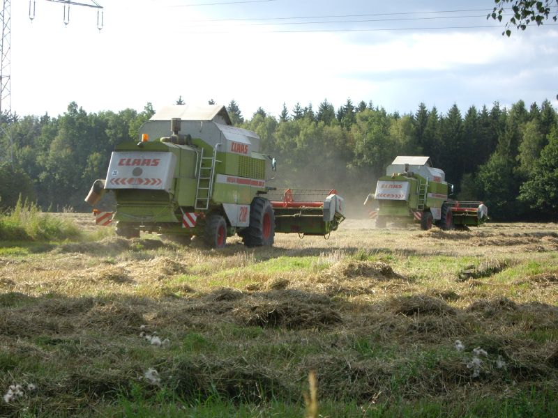 bilder/2024_07_20_2/DSC08499.jpg