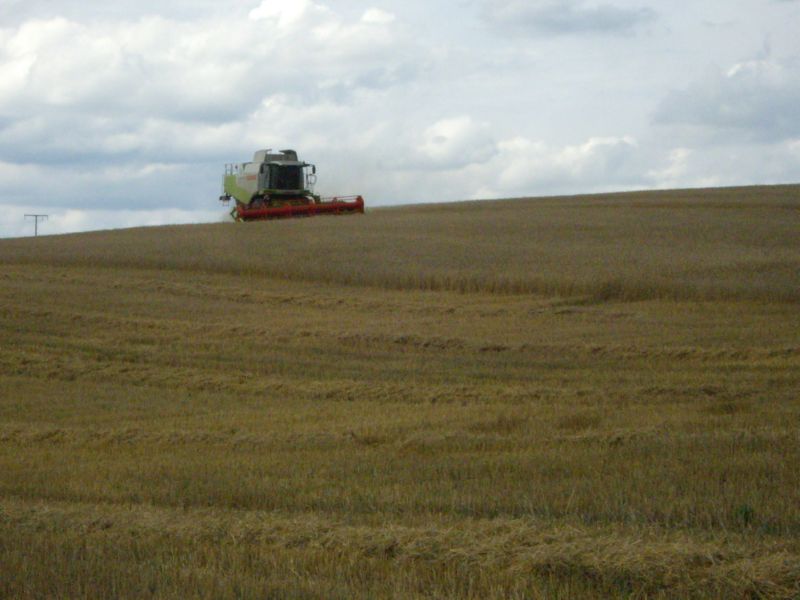 bilder/26_3_2012/CIMG8022.jpg