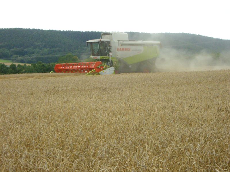 bilder/Fabian/8_6_2006/Fendt Vario 926 TMS.jpg