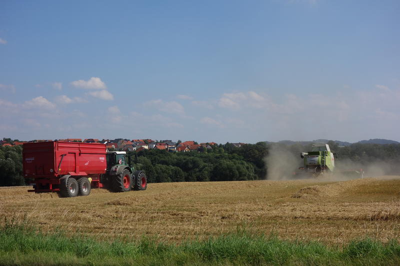 bilder/18_8_2016/DSC05483.jpg