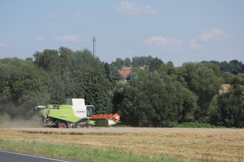 bilder/18_8_2016/DSC05490.jpg