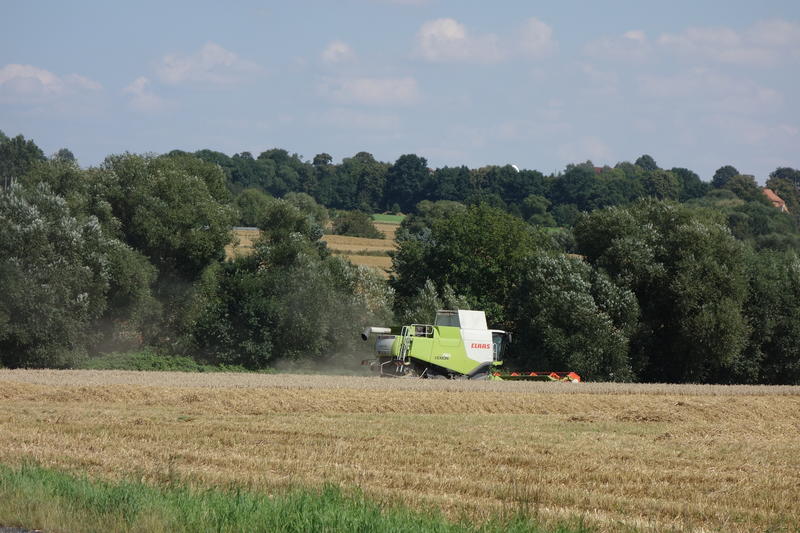 bilder/18_8_2016/DSC05491.jpg