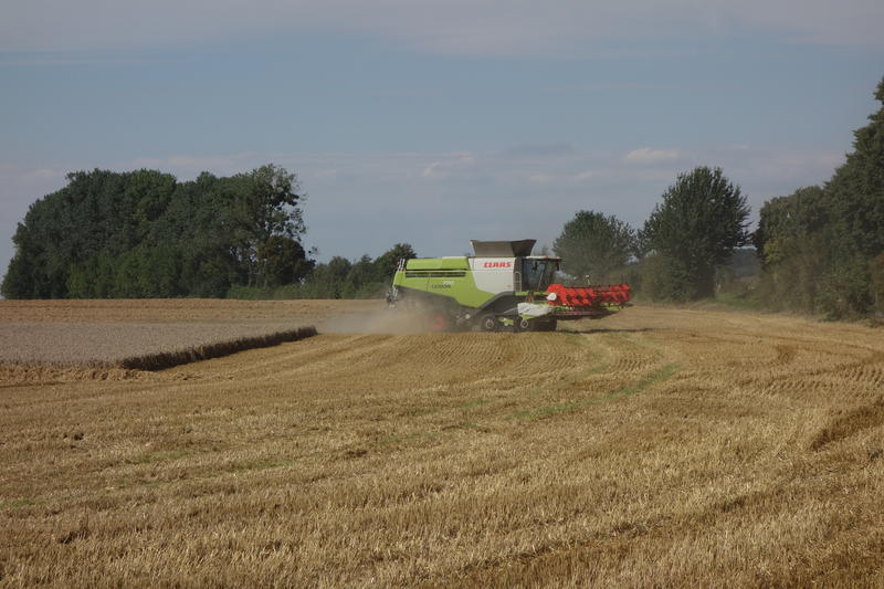 bilder/16_9_2002/jaguar_+_fendt_824_+_w50.jpg