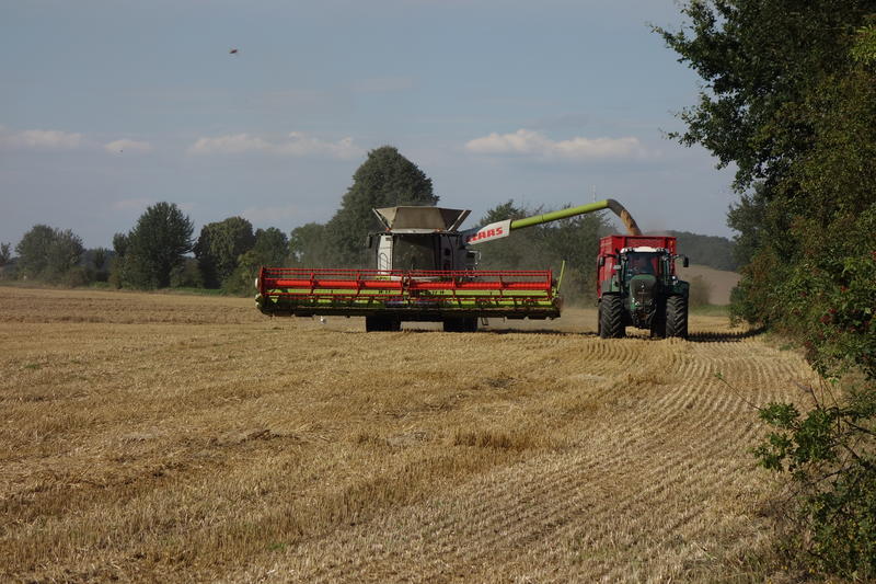 bilder/17_9_2012/CIMG0744.jpg