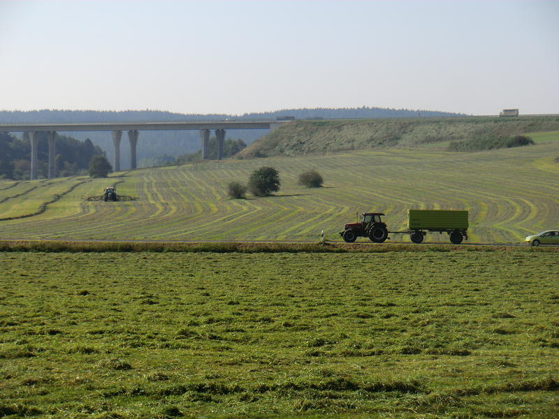 bilder/18_9_2012_2/CIMG0771.jpg