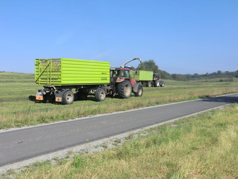 bilder/18_9_2012_2/CIMG0784.jpg