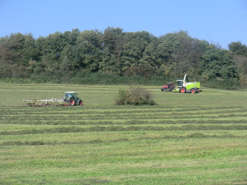 bilder/18_9_2012_2/CIMG0795.jpg