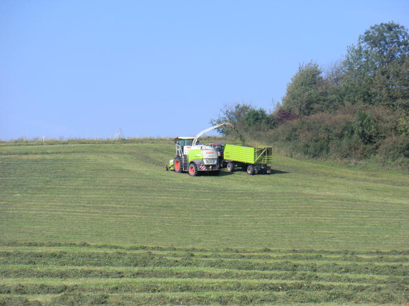 bilder/18_9_2012_2/CIMG0796.jpg