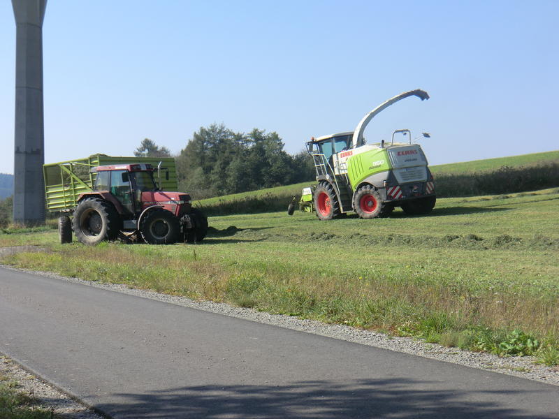 bilder/18_9_2012_2/CIMG0804.jpg