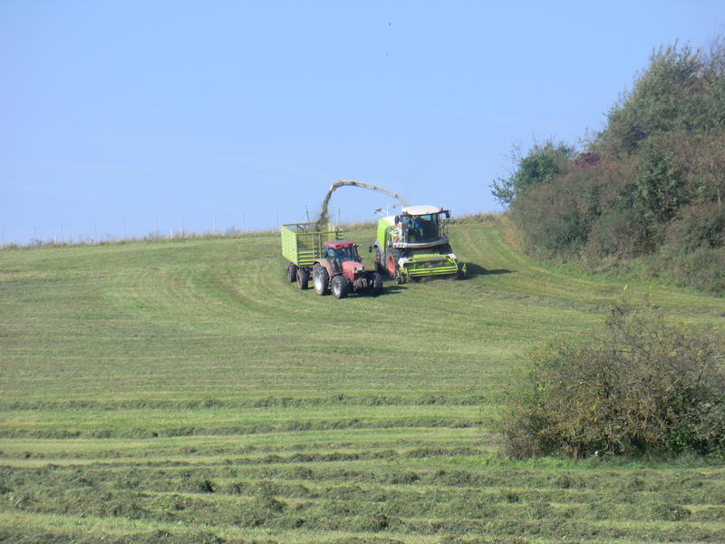 bilder/18_9_2012_2/CIMG0810.jpg