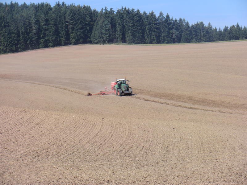 bilder/31_8_2005/lexion_10.jpg