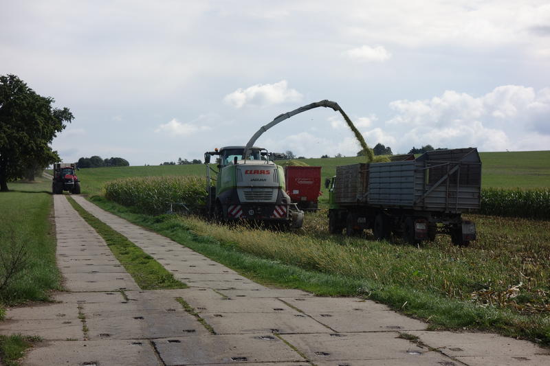 DSC02545.jpg